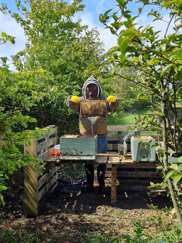 A beekeeper in a veil and yellow gloves holding up a frame of bees beside the hives