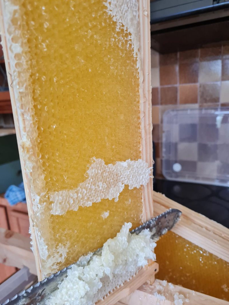 A serrated knife slicing white wax cappings from a frame of golden honey.