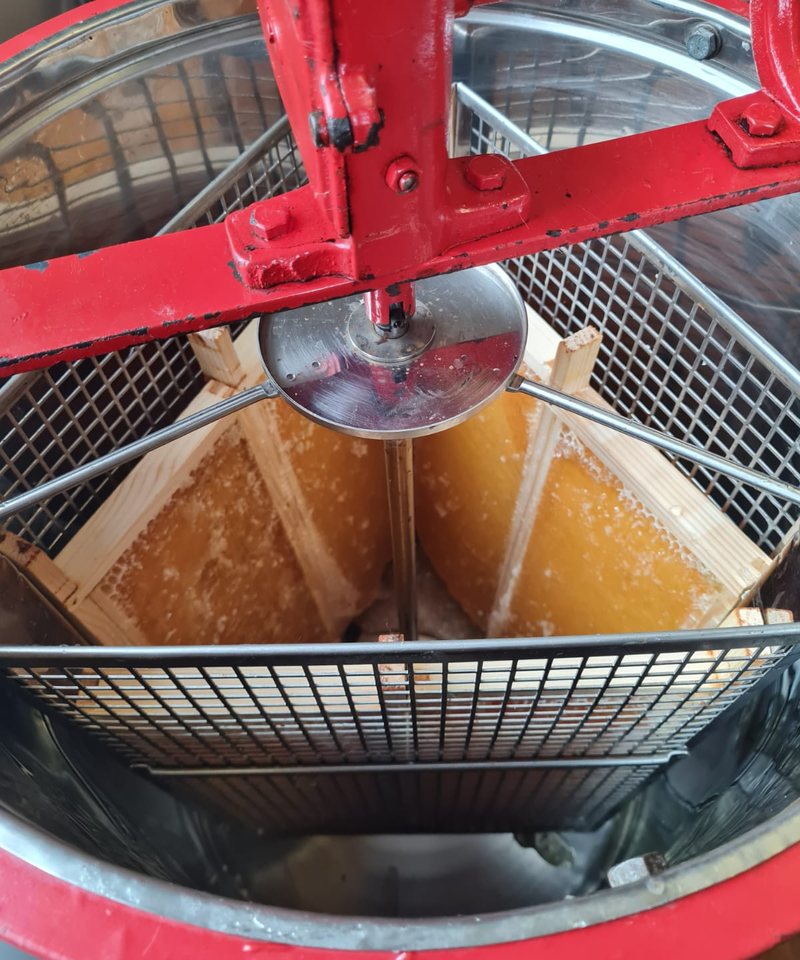 Looking down into a red hand-cranked honey extractor, with two frames of honey in the metal cage.